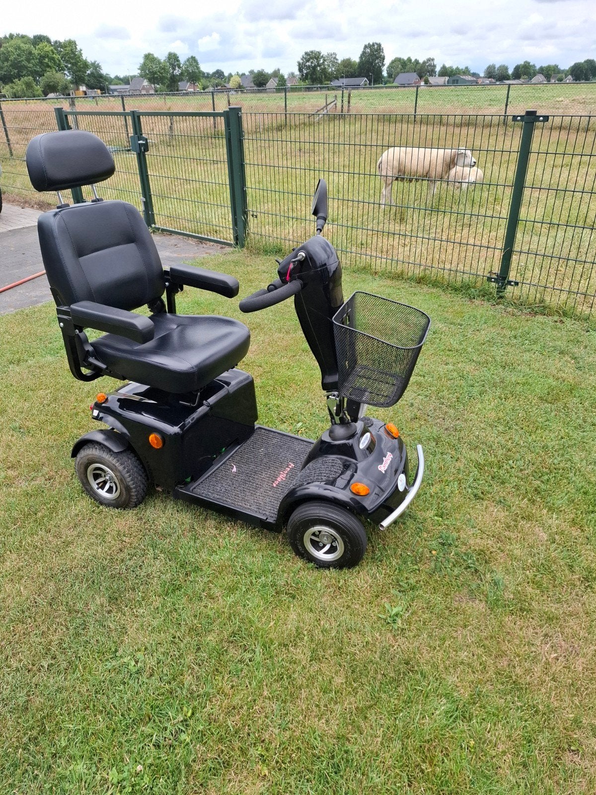 Wegens omstandigheden te koop., Ophalen, Gebruikt, 16 km/u of meer, Mango