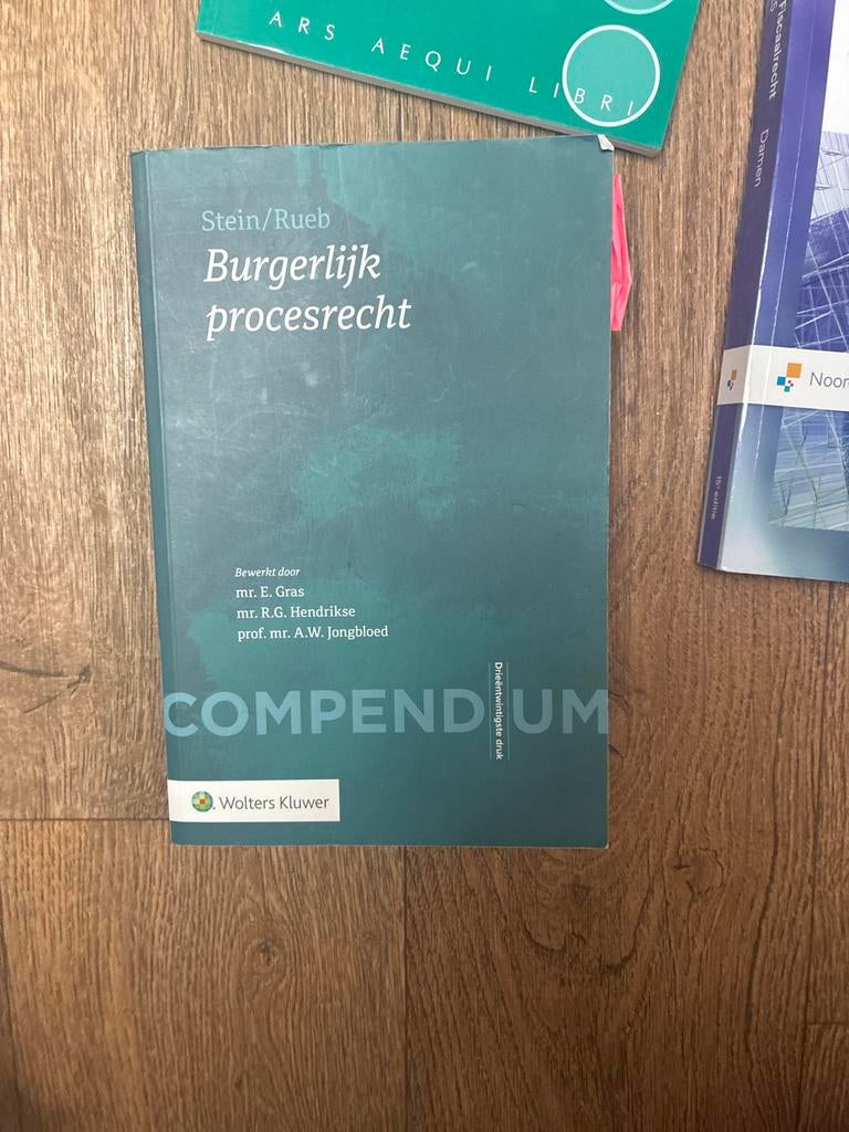 Compendium Burgerlijk procesrecht - Stein/Rueb, Boeken, Studieboeken en Cursussen, Verzenden, Gamma, Zo goed als nieuw, WO