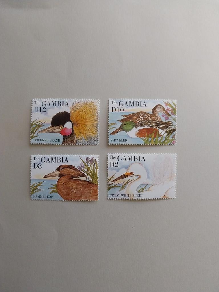 Gambia 2046-2049 vogels 1995 postfris mi 13 eu, Ophalen of Verzenden, Dier of Natuur