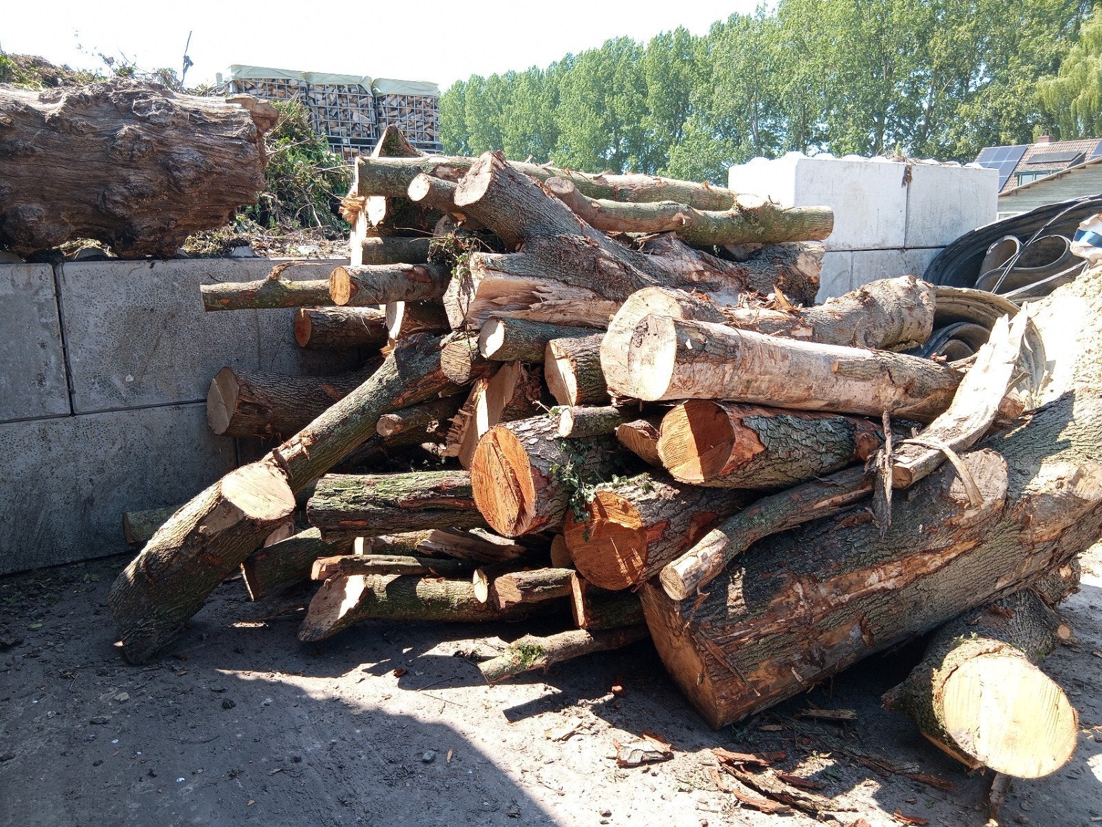 Brandhout: Veldesdoorn en Els, Tuin en Terras, Haardhout, 6 m³ of meer, Ophalen, Overige houtsoorten, Stammen