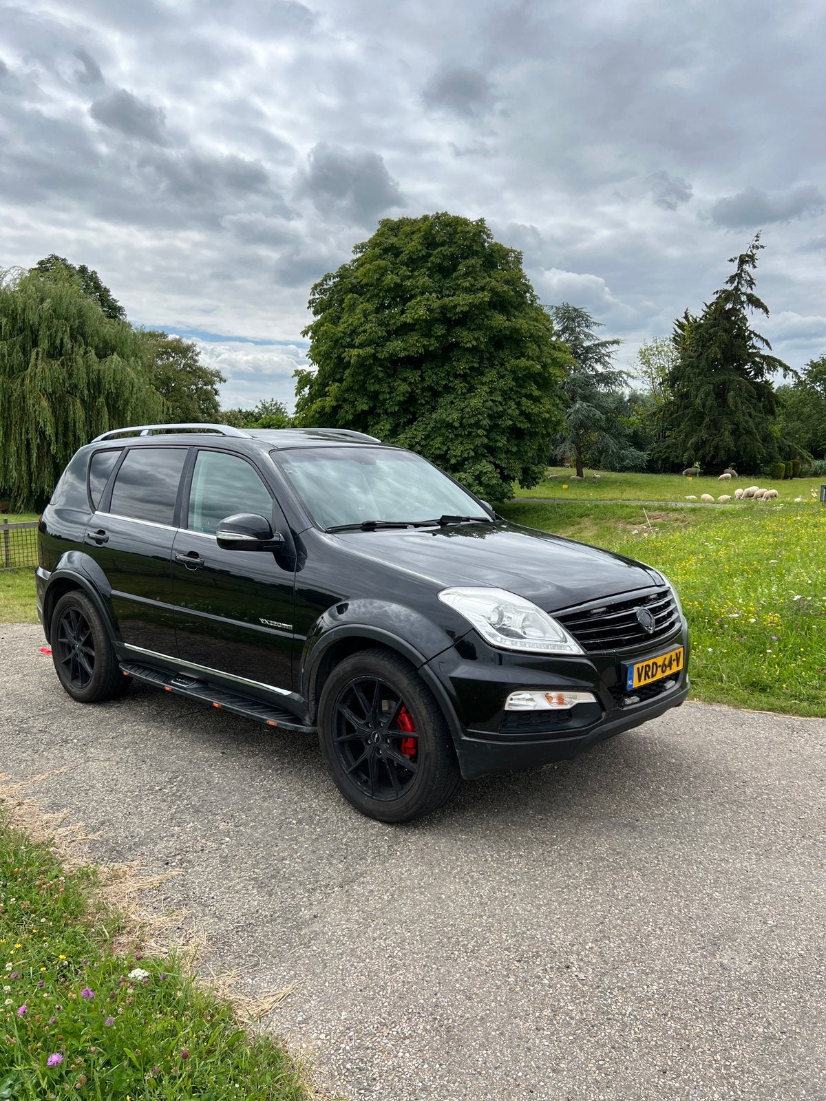 SsangYong Rexton 2016 Zwart EURO 6, 2157 cc, Zwart, 14 km/l, Bedrijf