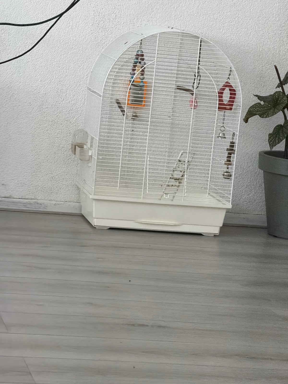 Vogel kooi op harderwijk, Ophalen, Metaal, Vogelkooi
