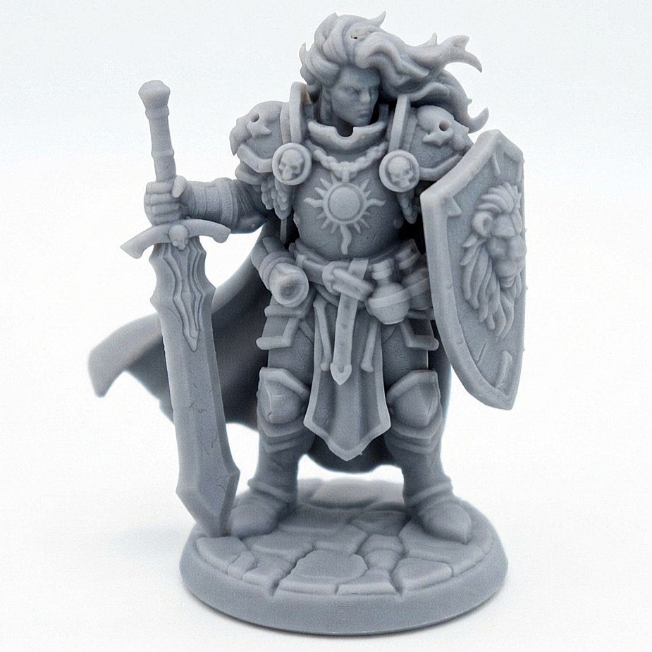 Paladin woman Miniature D&D HQ dungeon's and dragons