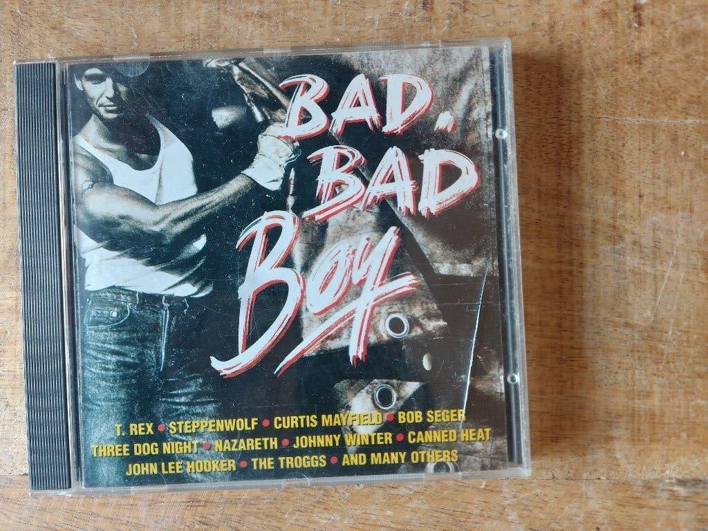 CD Bad, Bad Boy (various, classic rock), Cd's en Dvd's, Ophalen of Verzenden, Zo goed als nieuw, Poprock