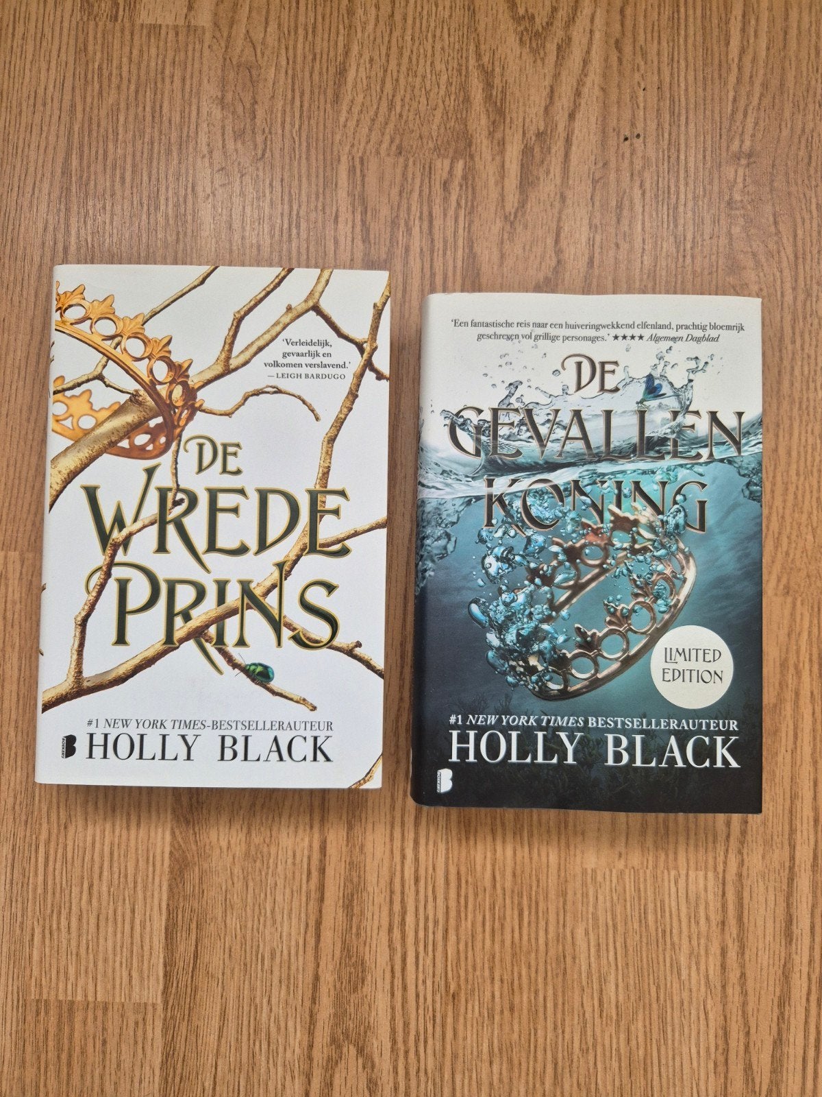 De Gevallen Koning & De Wrede Prins - Holly Black, Boeken, Ophalen of Verzenden, Zo goed als nieuw, Holly Black