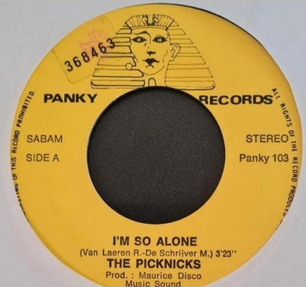 THE PICKNICKS - I'M SO ALONE, Cd's en Dvd's, Ophalen of Verzenden, Gebruikt