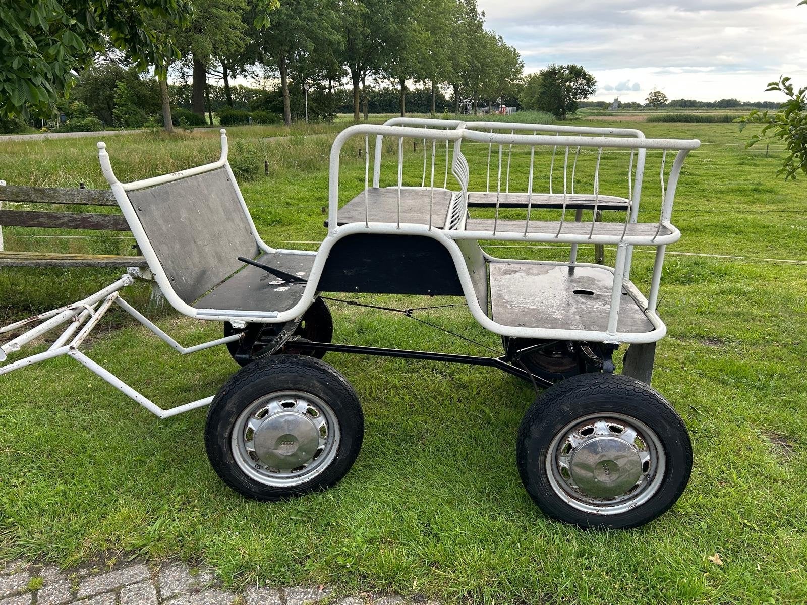 Leuke ponykar met tuigage, Overige typen, Pony