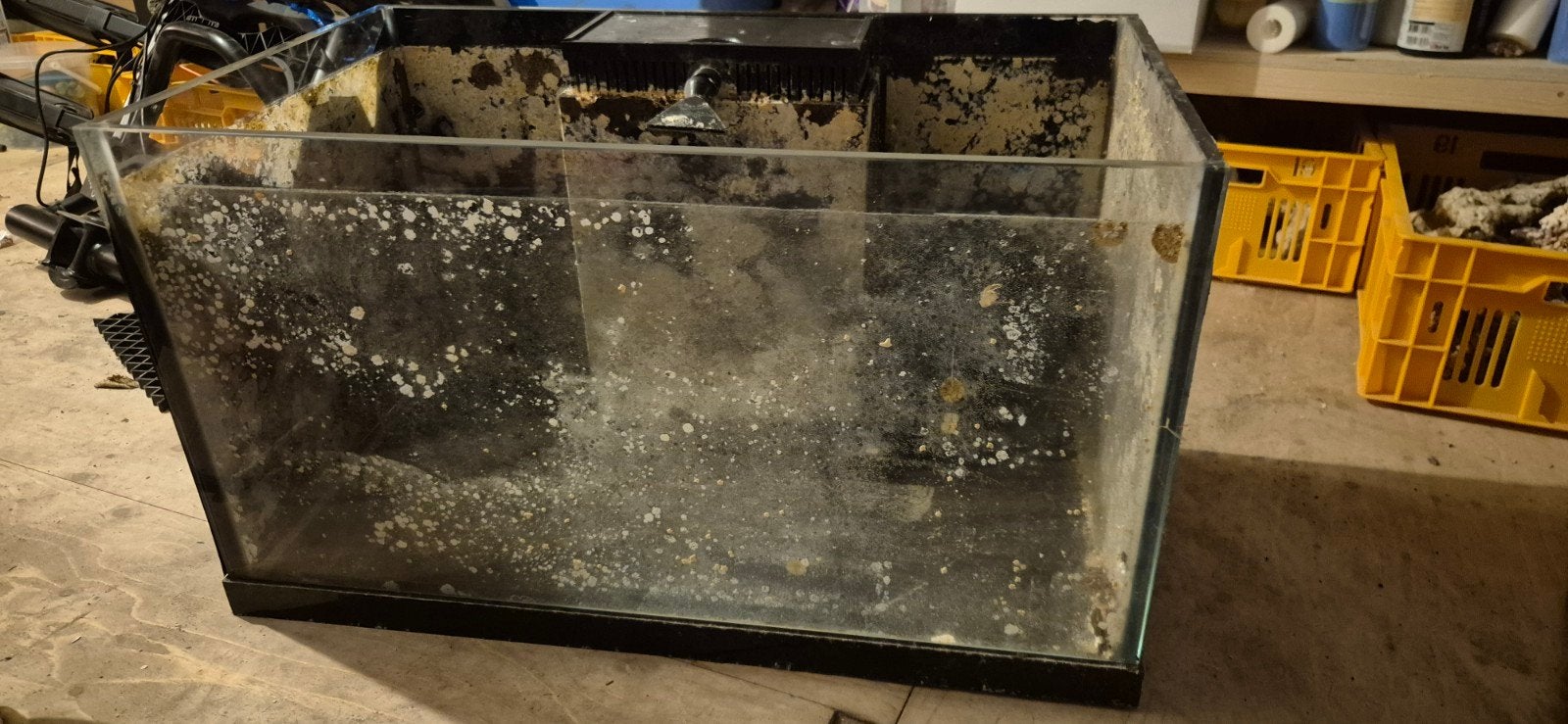 zeeaquarium of stekkenbak, Dieren en Toebehoren, Ophalen, Gebruikt, Leeg aquarium