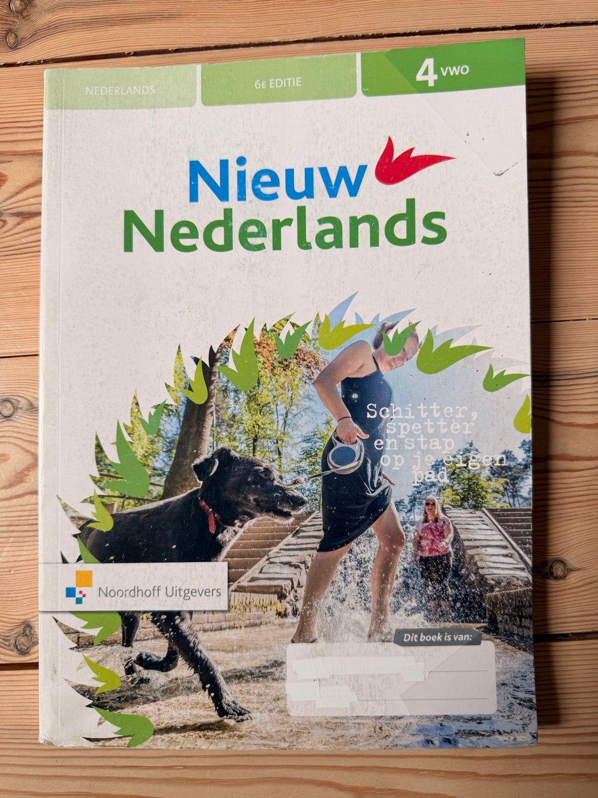 Nieuw Nederlands 4 VWO 6e editie - Zo goed als nieuw, Ophalen of Verzenden, Zo goed als nieuw, VWO, Nederlands