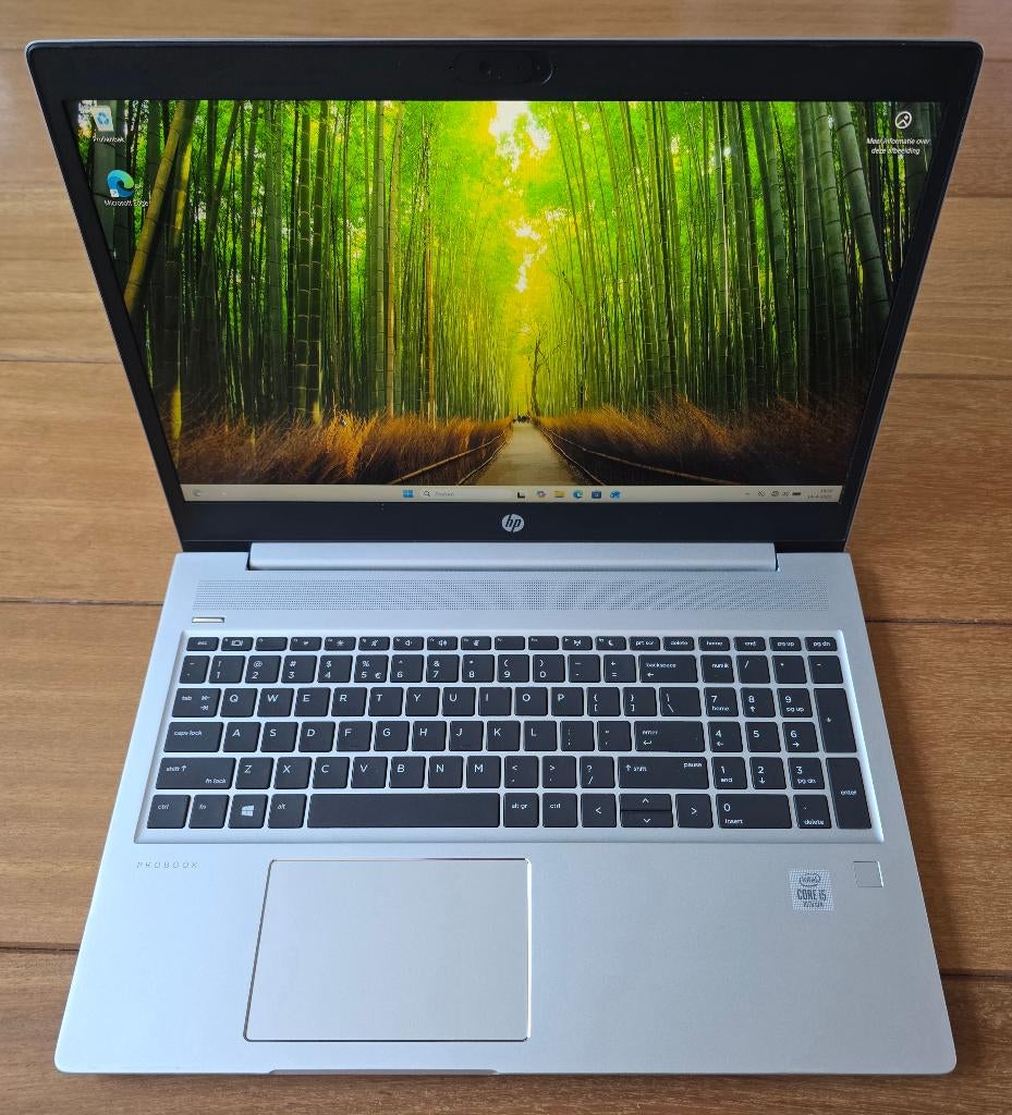 (2x) HP ProBook 450 G7 (i5-10210U, 16GB, 256GB SSD), Computers en Software, Windows Laptops, 256 GB, 2 tot 3 Ghz, Ophalen of Verzenden