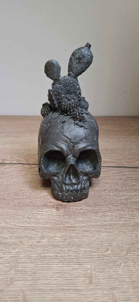 Schedel met Kaktus Beelden Set Antraciet  (Klein & Groot), Ophalen of Verzenden, Nieuw, Mens