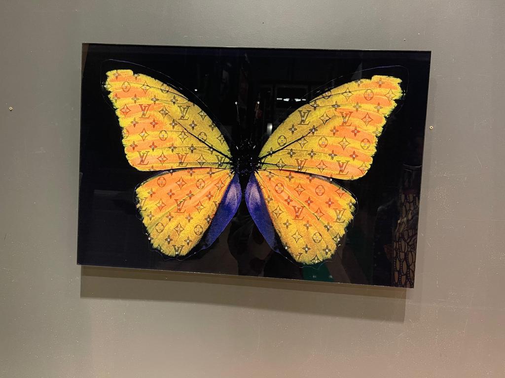 Prachtige LV vlinder plexiglas schilderij, Ophalen of Verzenden
