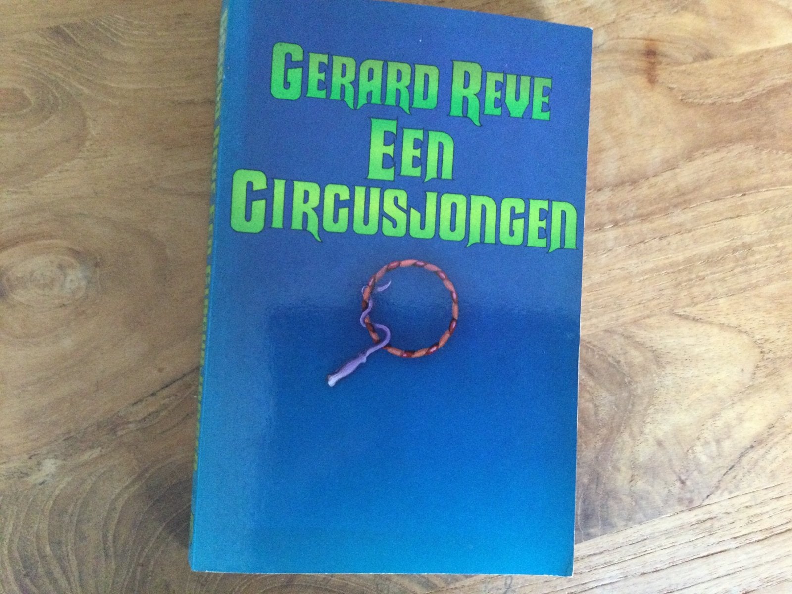 Gerard Reve, De Circusjongen, Ophalen of Verzenden, Zo goed als nieuw, Nederland