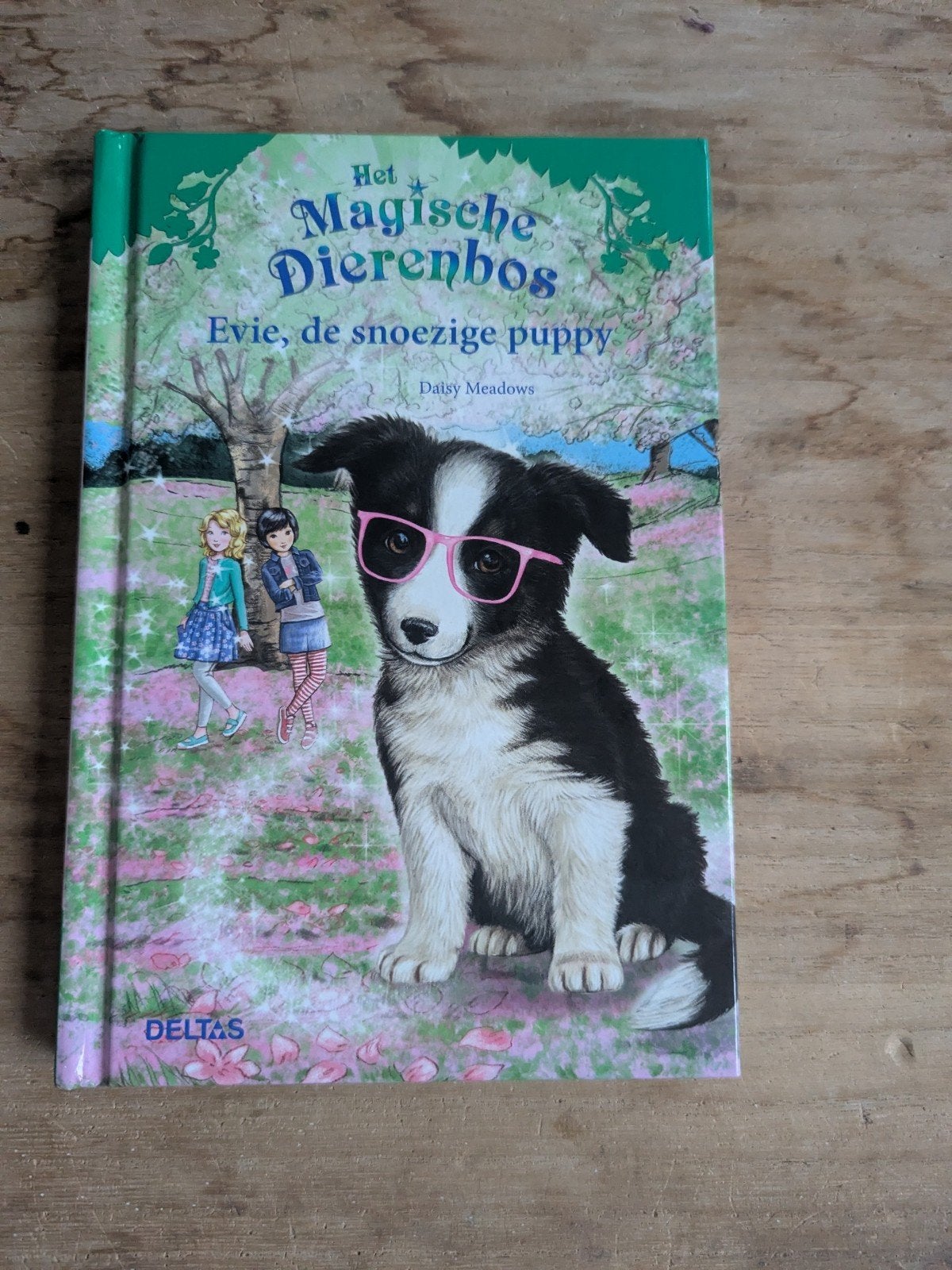Het Magische Dierenbos: Evie, de snoezige puppy, Ophalen of Verzenden, Zo goed als nieuw, Daisy Meadows, Fictie algemeen