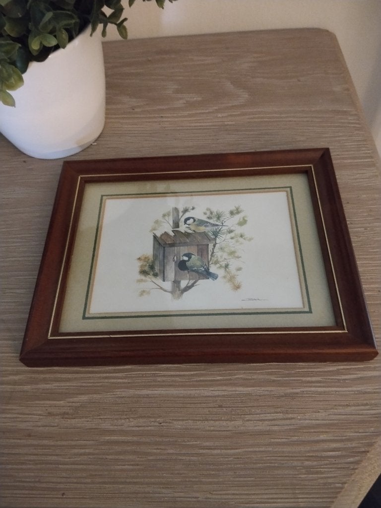 vintage houten kader met vogelprent achter glas, Ophalen of Verzenden, Zo goed als nieuw, Hout