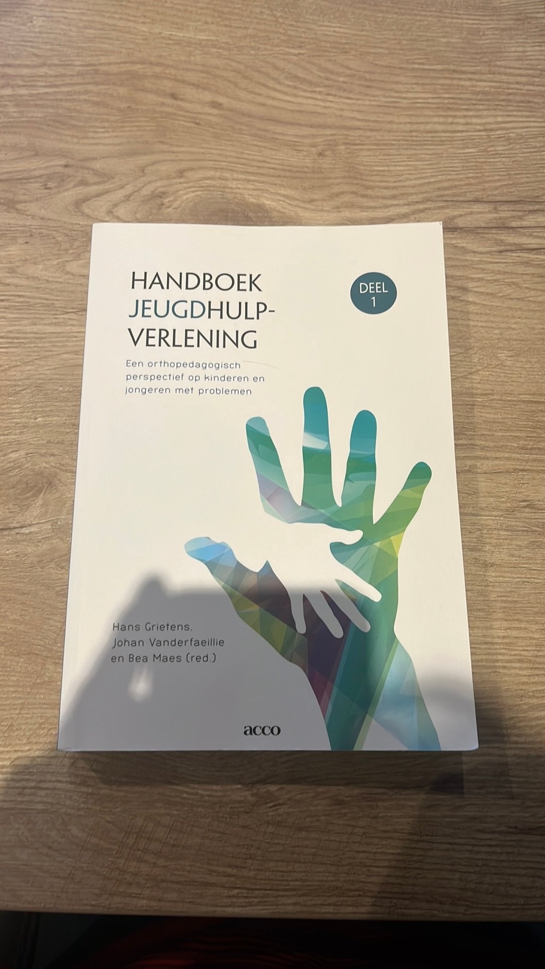 Handboek jeugdhulpverlening, Boeken, Ophalen of Verzenden, Alpha, Gelezen, WO