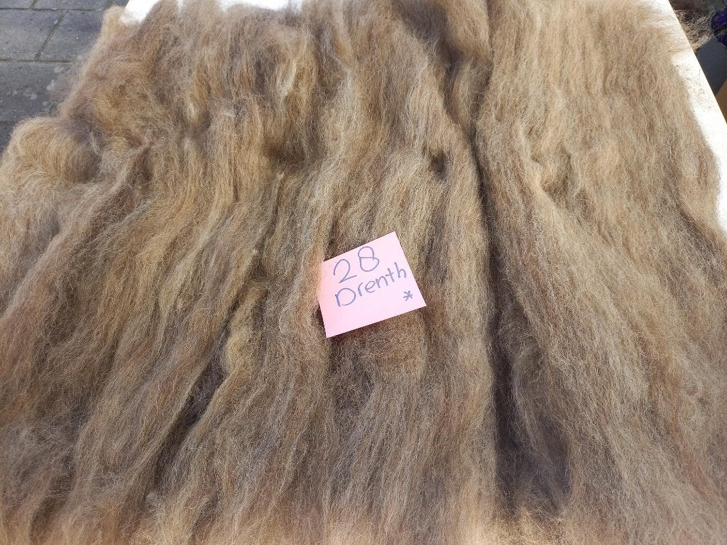 nr 28 Gekaarde wol kaardvlies van een Drents Heideschaap, Ophalen of Verzenden, Nieuw
