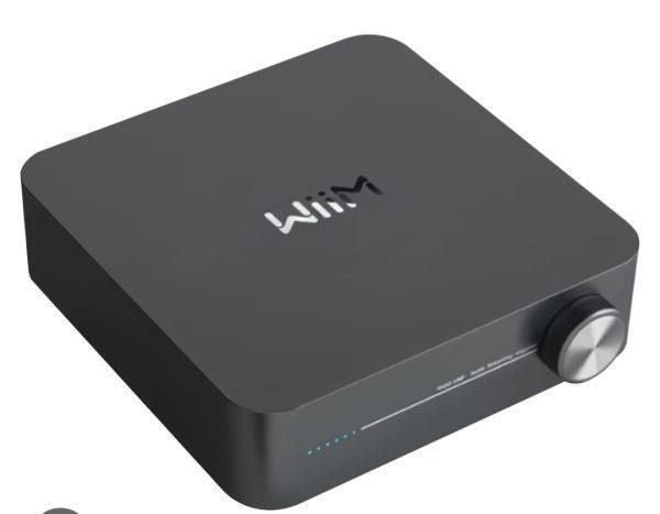 WIIM AMP TPA3255 Class D Stereo Amp + streaming, Ophalen of Verzenden, Nieuw
