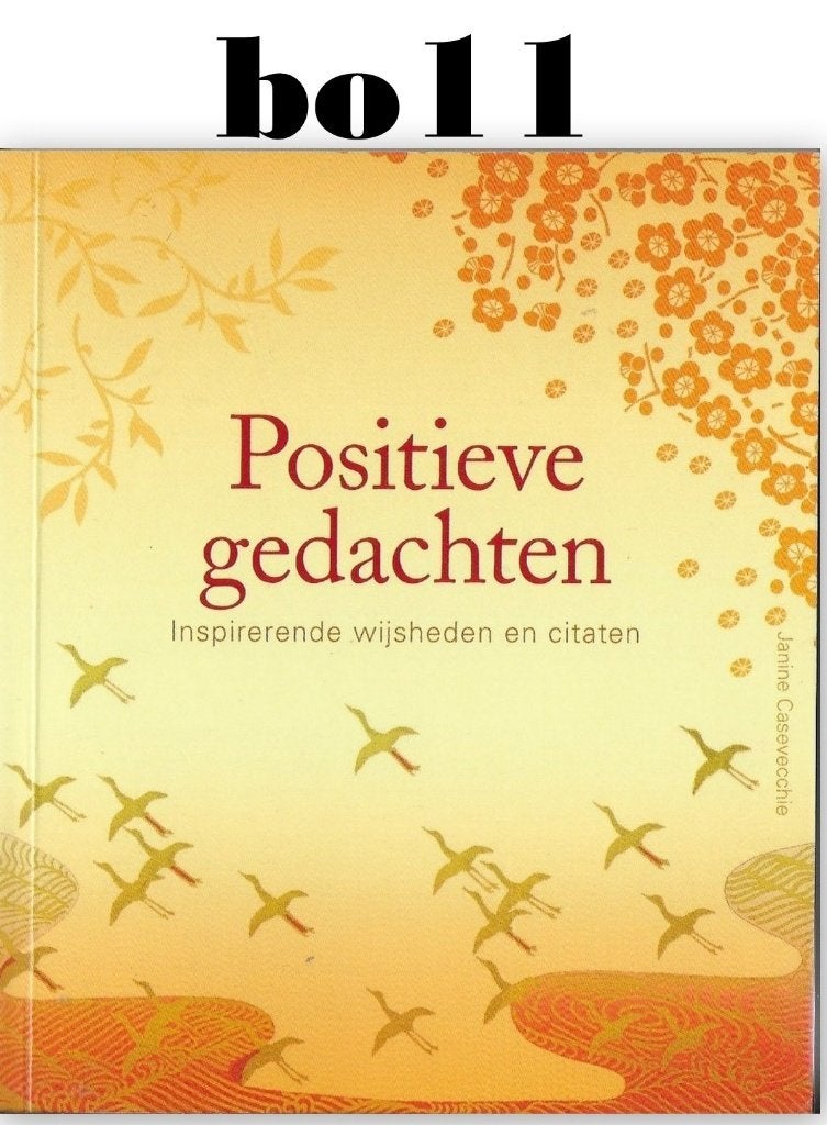 bo11 Boekje Positieve gedachten door Janine Caseveccie, Ophalen of Verzenden, Gelezen