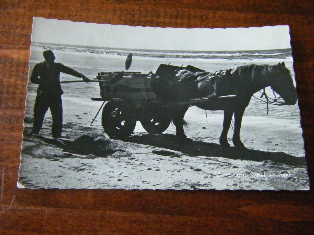 Z40 - Zandvoort - Schelpenvisser - 1957 - Mooi/Oud, Ophalen of Verzenden, 1940 tot 1960, Noord-Holland