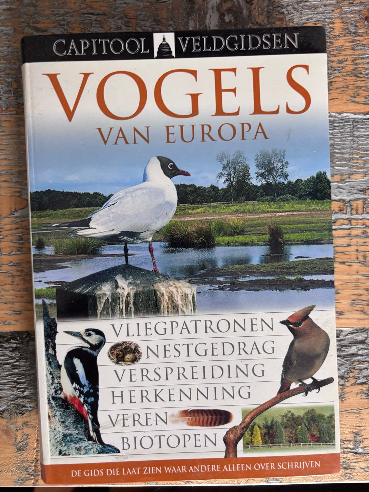 Capitool Veldgidsen: Vogels van Europa - In perfecte staat, Boeken, Ophalen of Verzenden, Zo goed als nieuw, Vogels