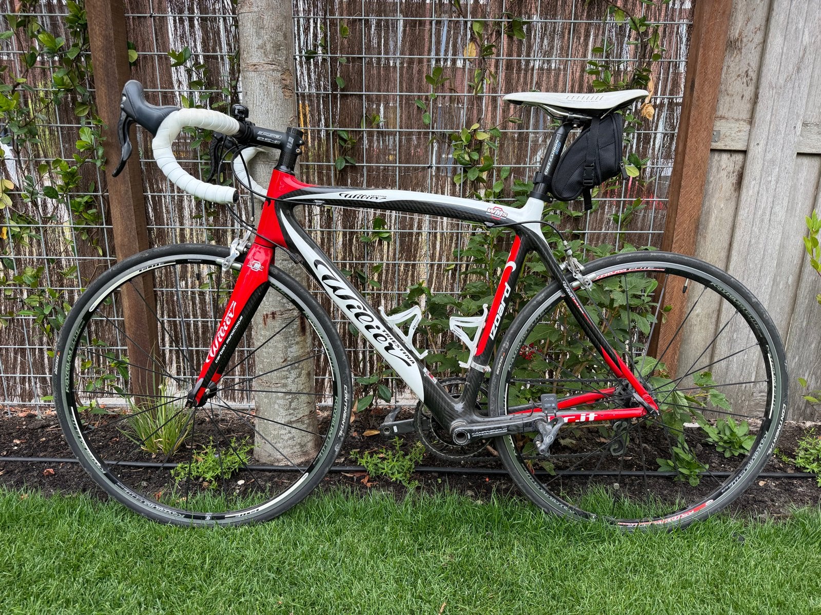 Wilier Triestina - 55 cm - Carbon frame, Campagnolo Centau, 28 inch, Gebruikt, Carbon, 15 tot 20 versnellingen