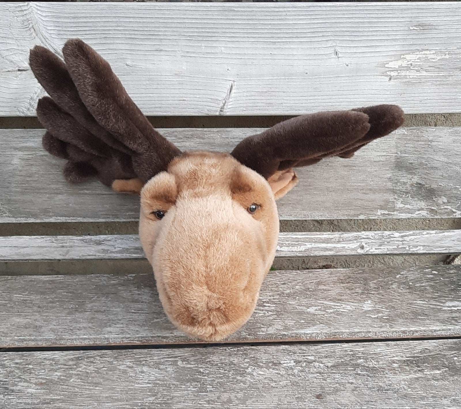 Pluche eland dierenkop Bibib/Wild & Soft, Overige merken, Overige typen, Ophalen of Verzenden, Zo goed als nieuw