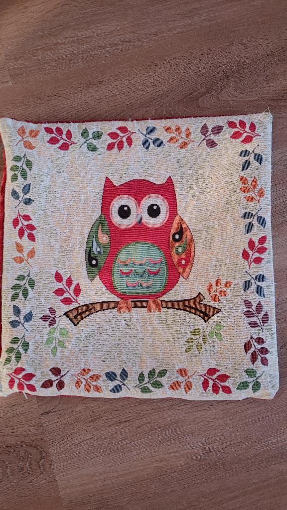 Twee kussenhoezen met uil 50 x 50 cm, Ophalen of Verzenden, Zo goed als nieuw, Overige kleuren, Vierkant