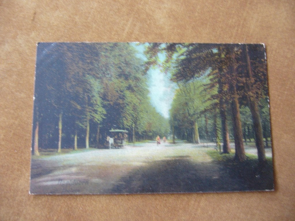 APELEDOORN  = LOOLAAN  MET PAARDENTRAM BRIEFKAART 1910, Ophalen of Verzenden, Voor 1920, Gelopen, Zuid-Holland