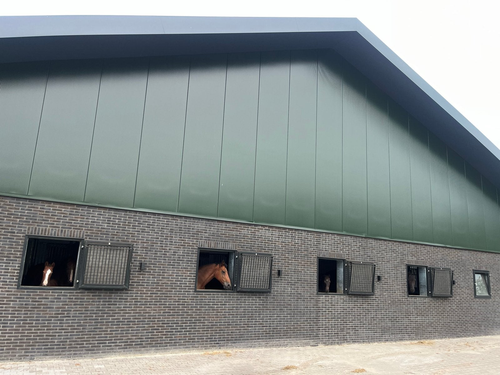 Stalling met weidegang paard, Dieren en Toebehoren, Stalling en Weidegang, Weidegang, 1 paard of pony