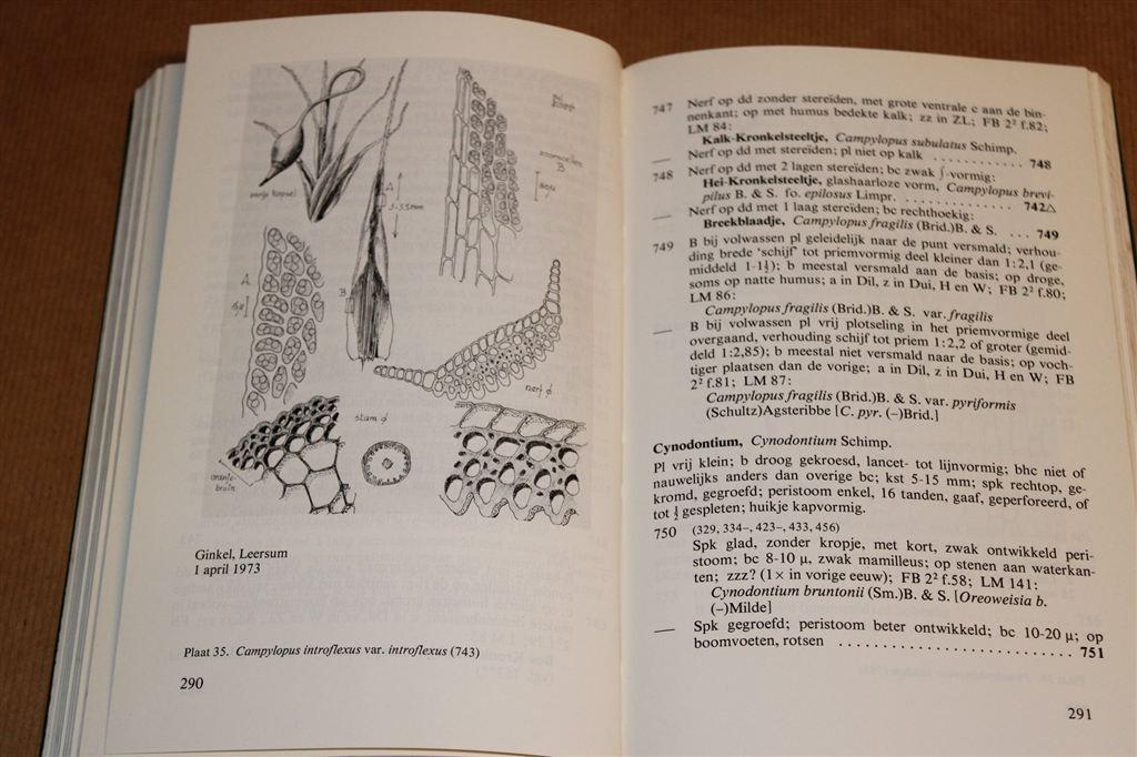 Flora Blad- & Levermossen [KNNV] — Standaardwerk Determinati, Ophalen of Verzenden, Gelezen, Bloemen, Planten en Bomen