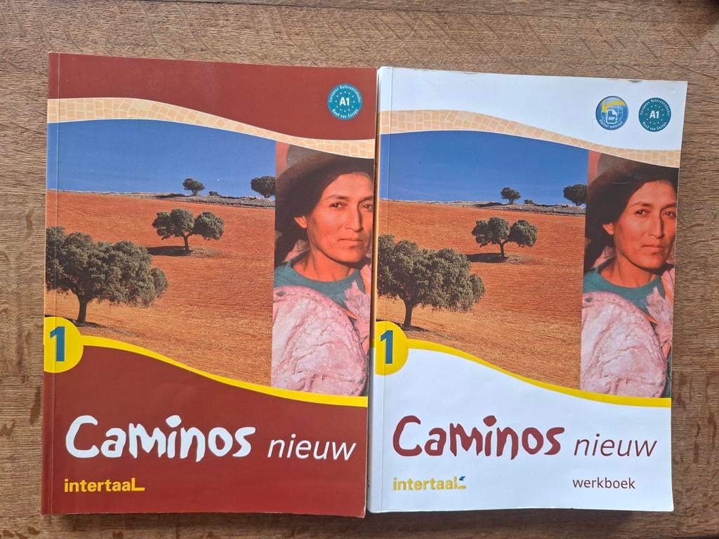 Cursus Spaans A1: werkboek en tekstboek in goede staat, Boeken, Ophalen of Verzenden, Zo goed als nieuw, Non-fictie