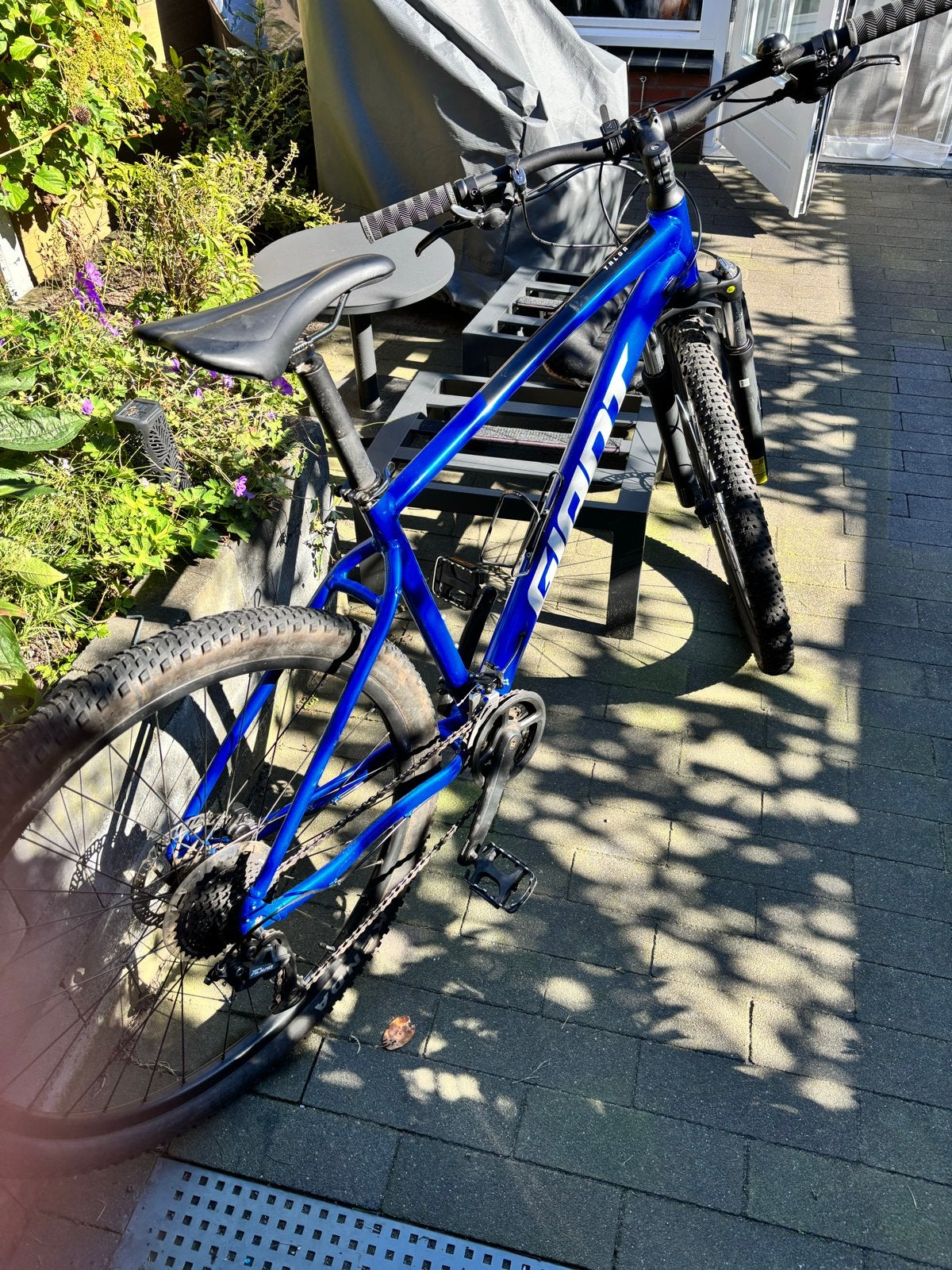 Giant Talon Mountainbike - Goed onderhouden, Ophalen, Hardtail, Heren, Giant