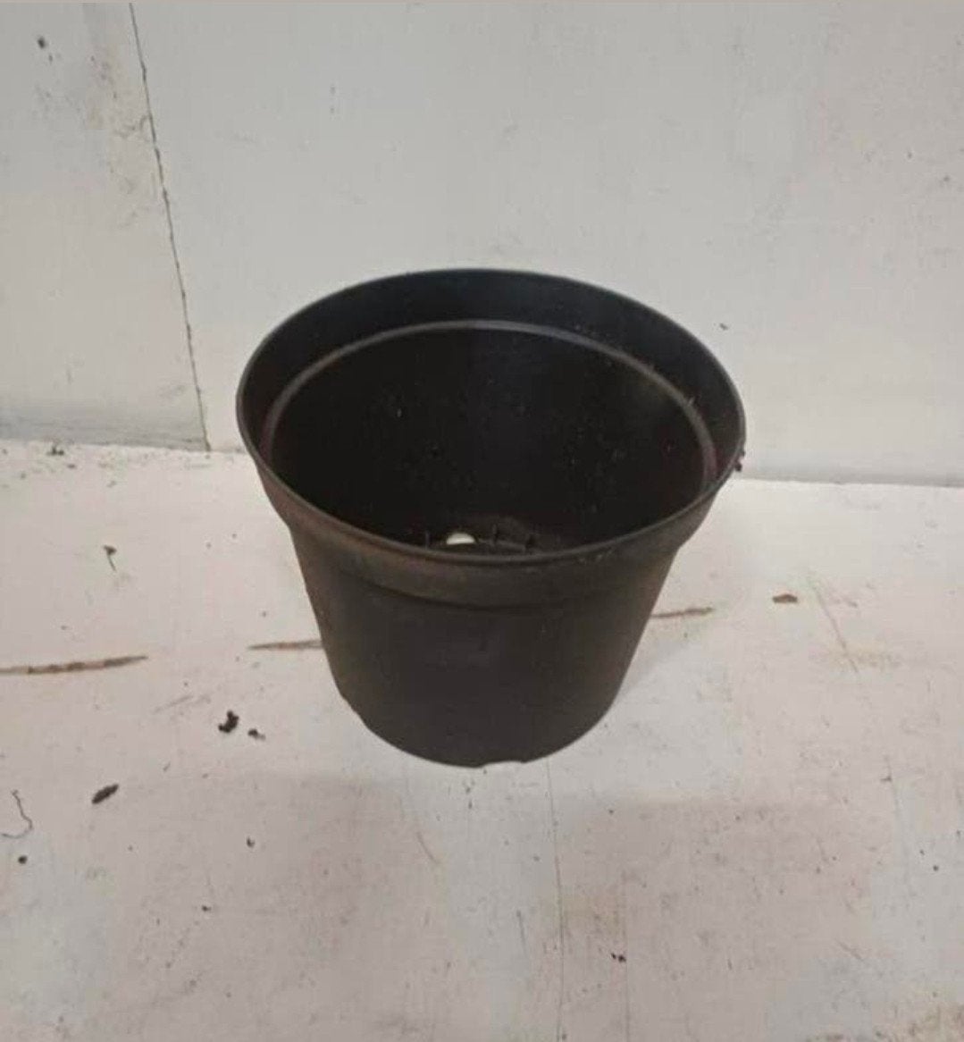 Kweekpotten plantenpotten bloempotten 2 liter, Gebruikt, Rond, Ophalen of Verzenden, Balkon
