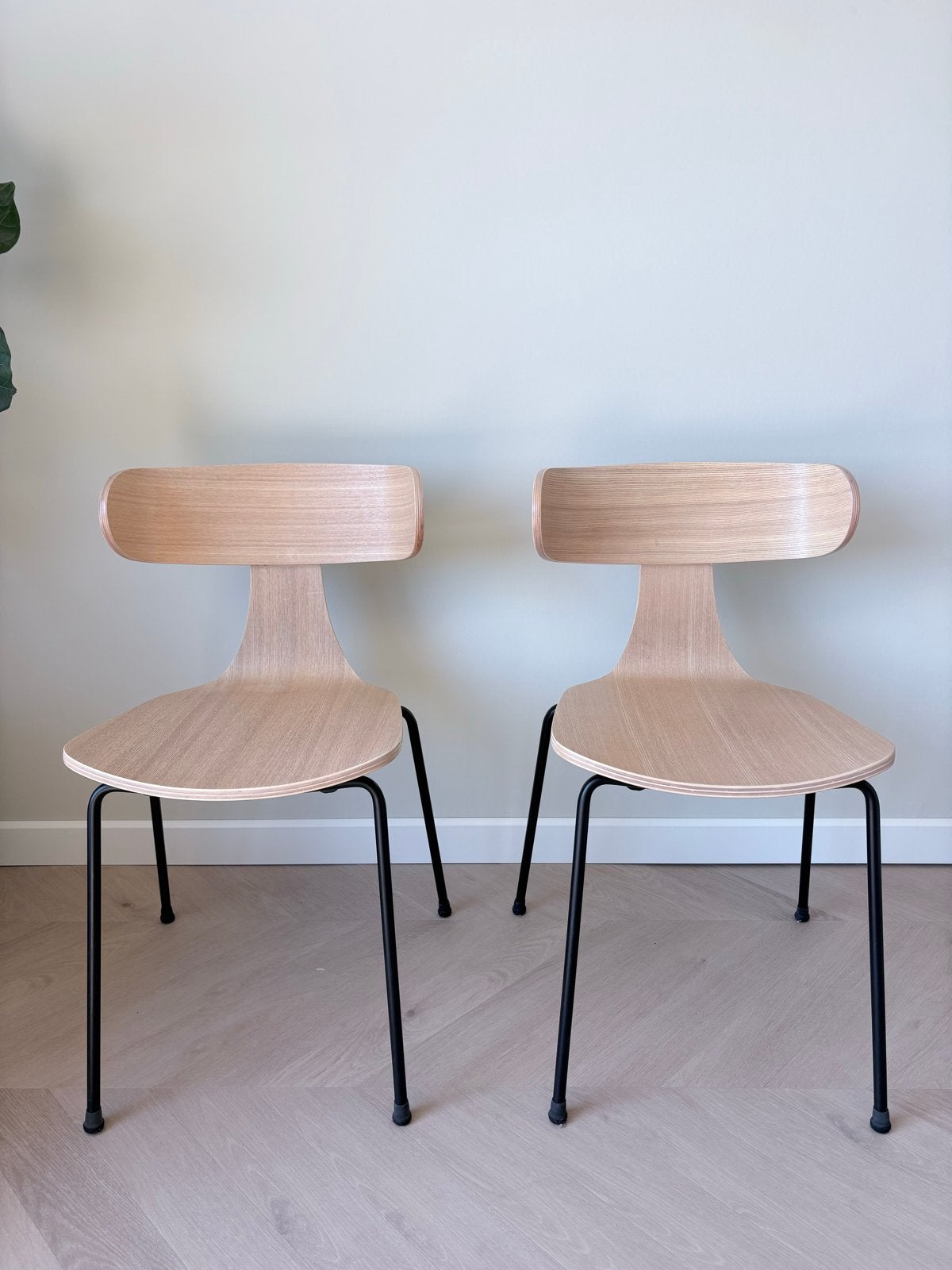 Woood Form Houten Stoel Met Metalen Poot – Essen Naturel (2, Ophalen, Gebruikt, Twee, Overige kleuren