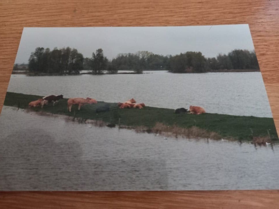 Empel, Ophalen of Verzenden, 1980 tot heden