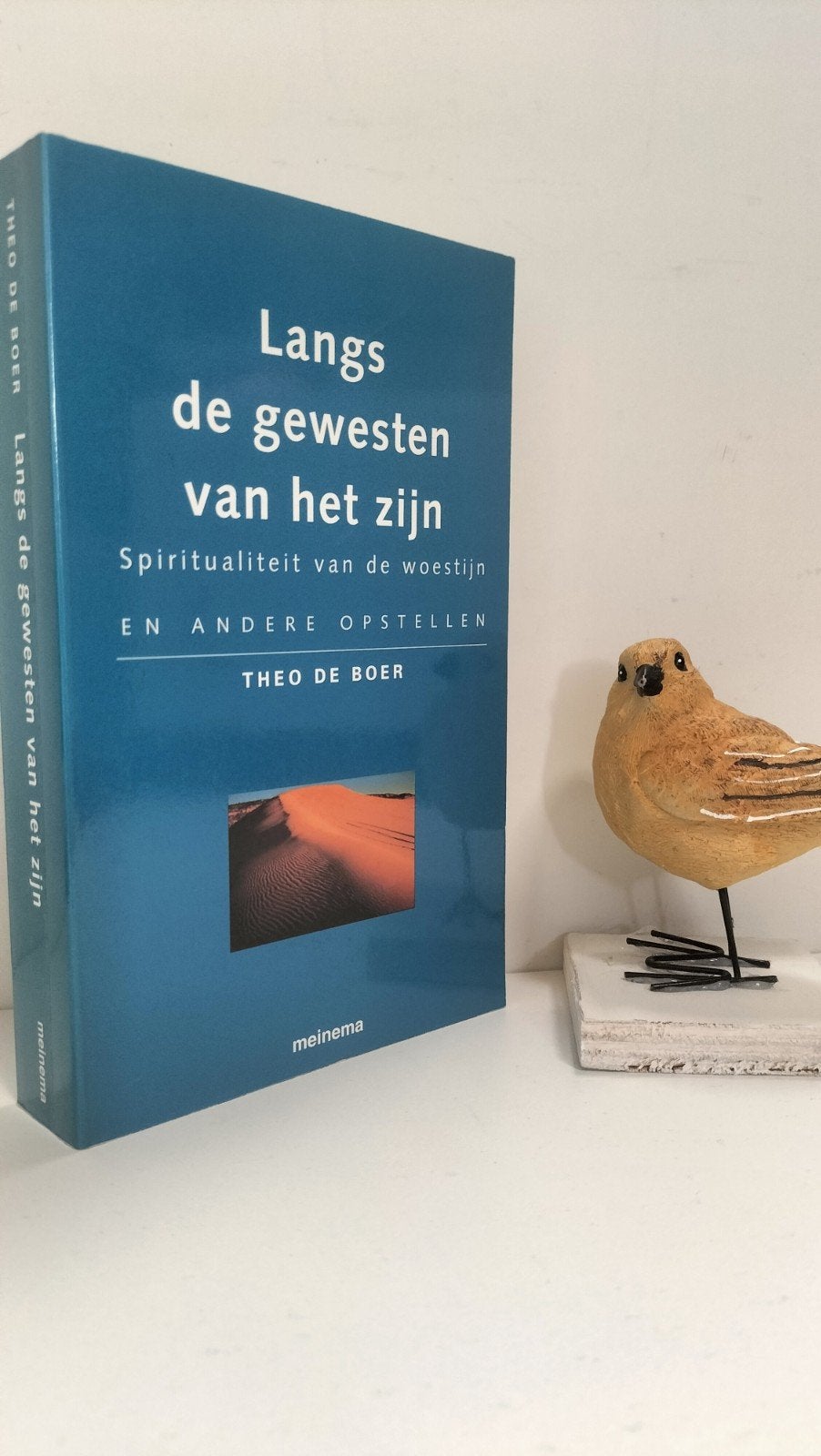 Boer, Theo de; Langs de gewesten van het zijn, Ophalen of Verzenden, Gelezen, Christendom | Protestants