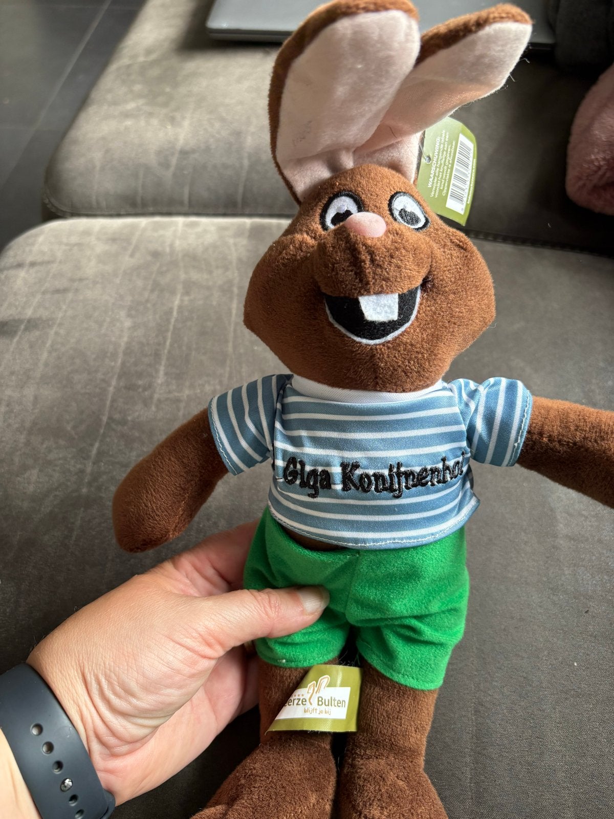 Camping De Beerze Bulten Knuffel - Bultje, Kinderen en Baby's, Speelgoed | Knuffels en Pluche, Overige merken, Overige karakters