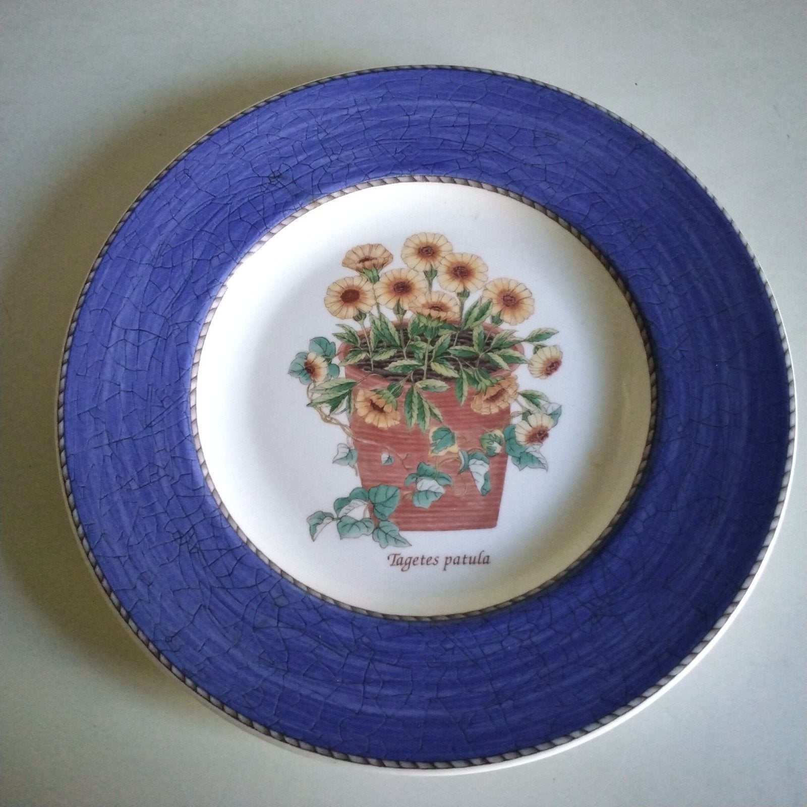 Wedgwood sarah's  garden ontbijt/ dessertbord, Overige typen, Ophalen of Verzenden, Zo goed als nieuw, Wedgwood