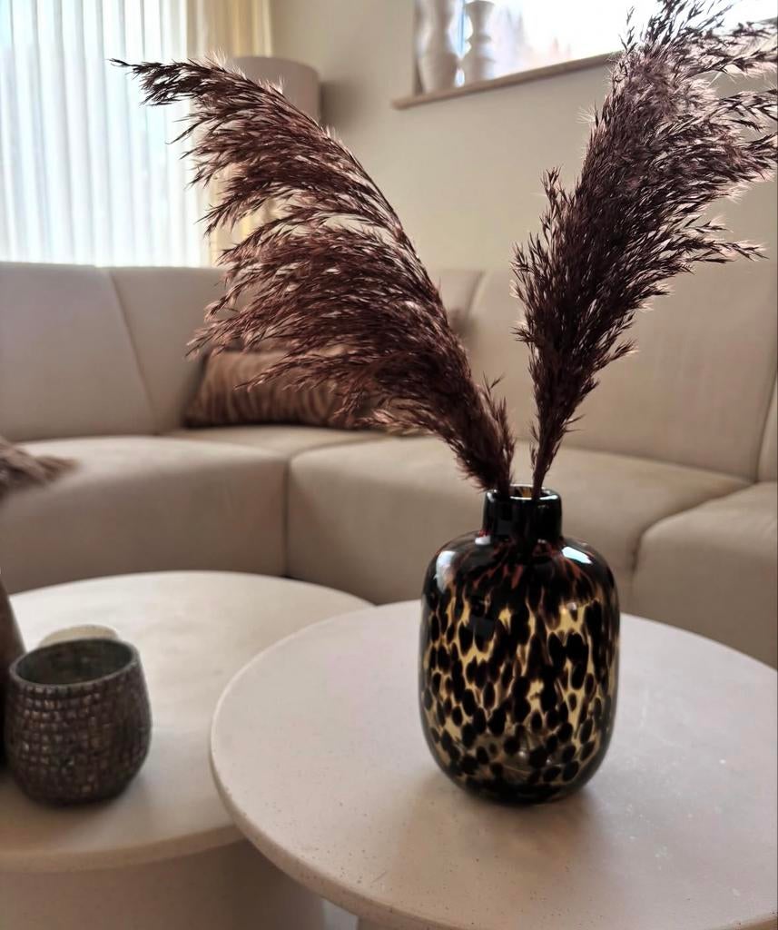 Cheetah glas vaas, Ophalen of Verzenden, Nieuw, Overige kleuren, Glas