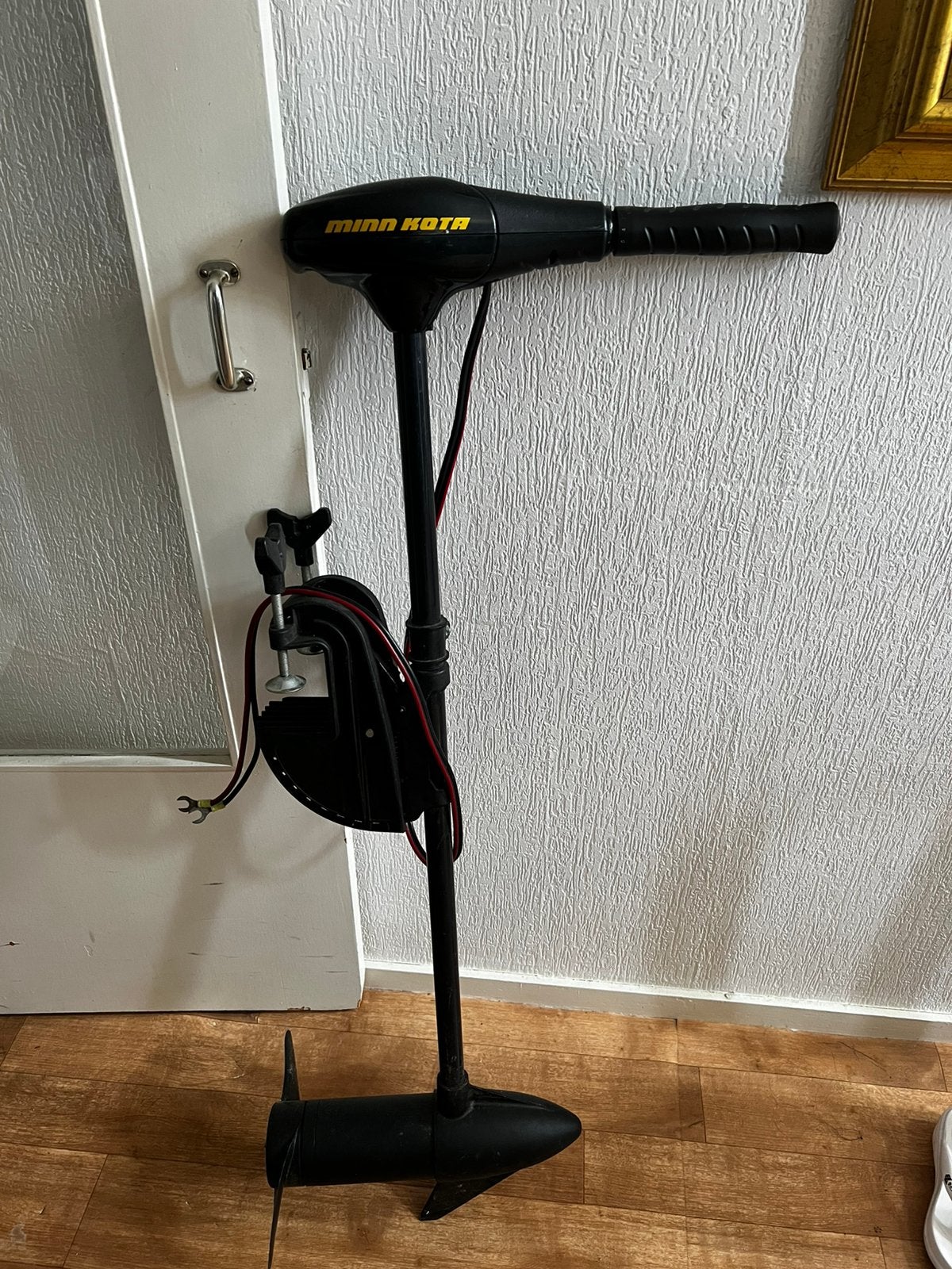 Minn Kota Endura C2 50 Lbs. Buitenboordmotor, Watersport en Boten, Ophalen, Zo goed als nieuw, Overige typen