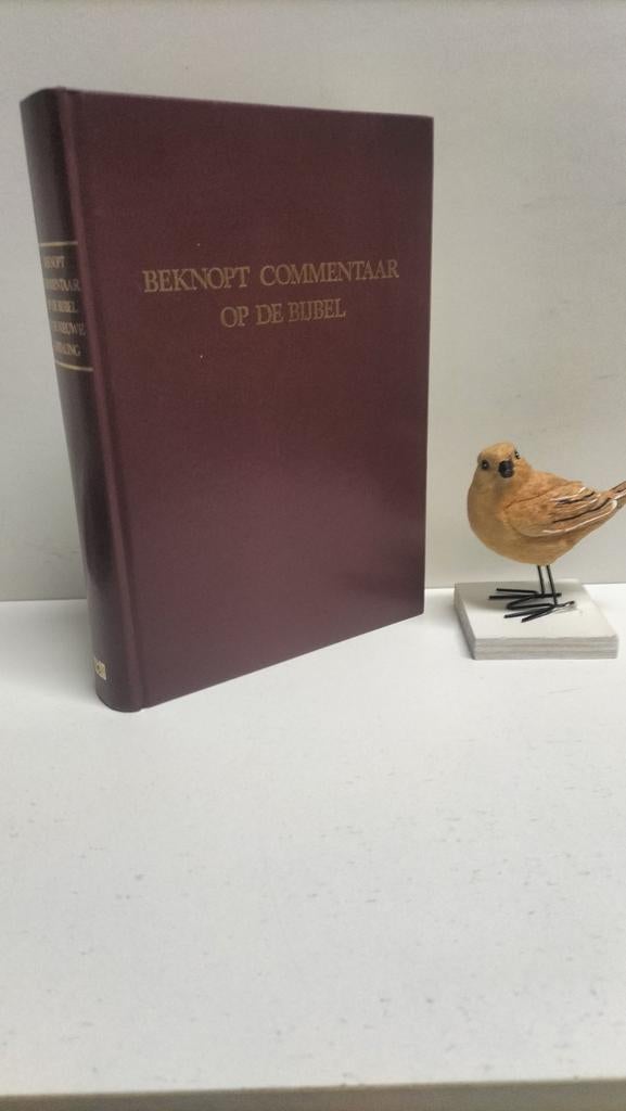 Gispen, Prof. dr. W.H. e.a.: Beknopt commentaar op de Bijbel, Boeken, Ophalen of Verzenden, Gelezen, Christendom | Protestants