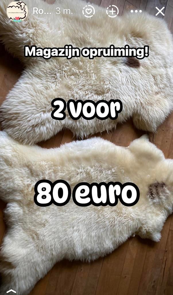 Schapenvachten  opruiming., Ophalen of Verzenden, Nieuw