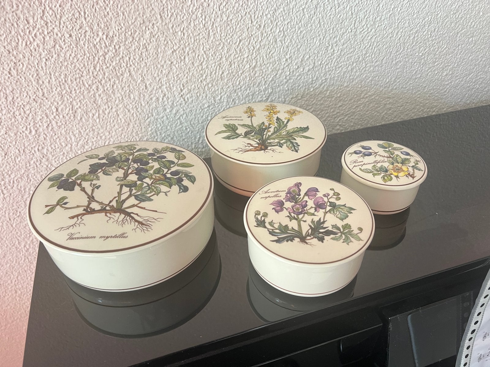 Villeroy & Boch Botanica schalen set 4 stuks, Ophalen of Verzenden