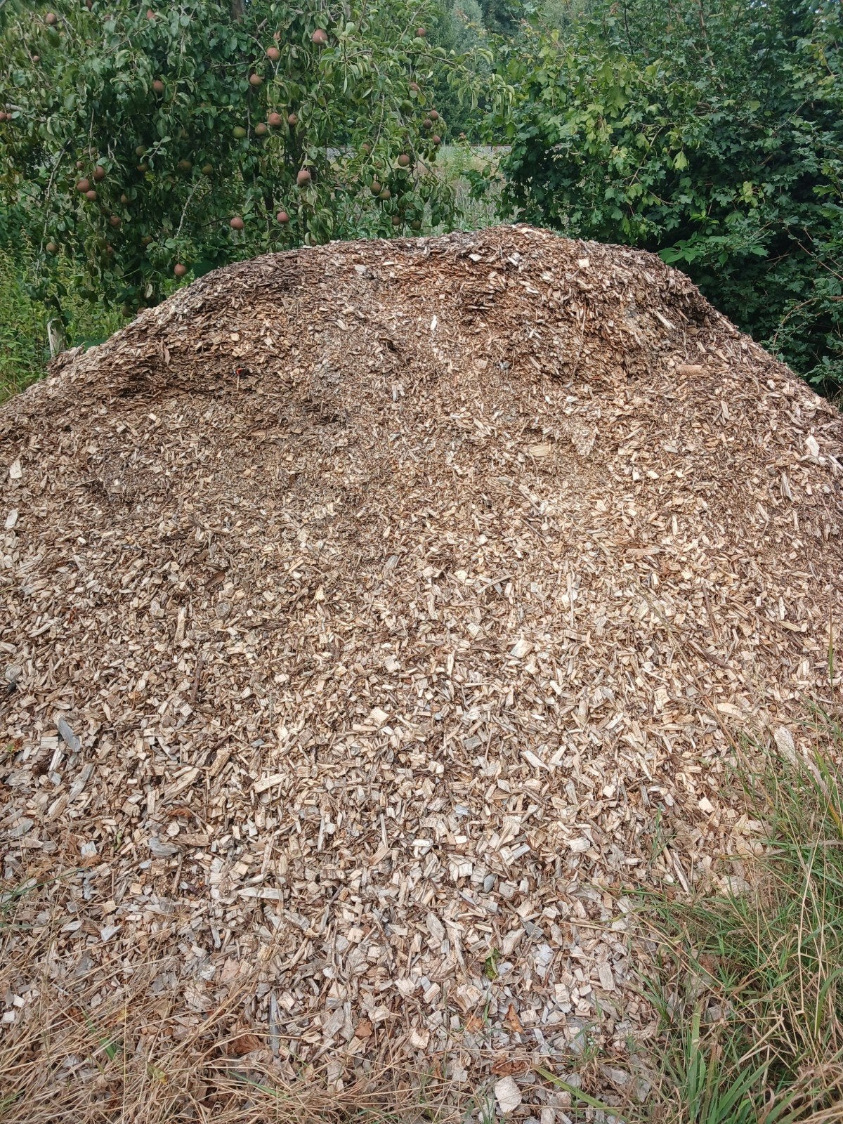 Houtsnippers voor tuin en paden, Ophalen of Verzenden, Gebruikt, Overige typen
