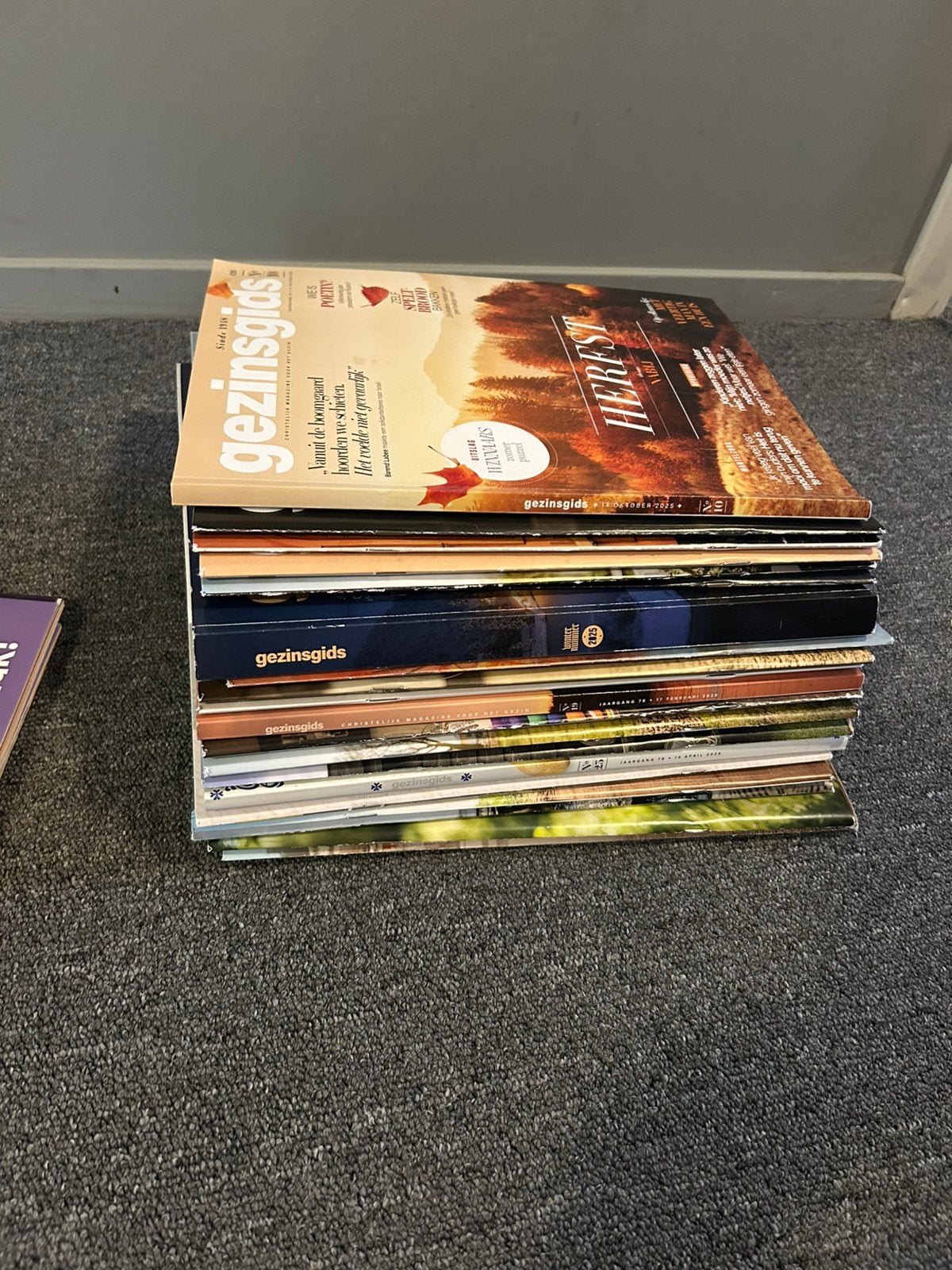 Gezinsgids okt '25 - juni '26, Ophalen of Verzenden, Zo goed als nieuw