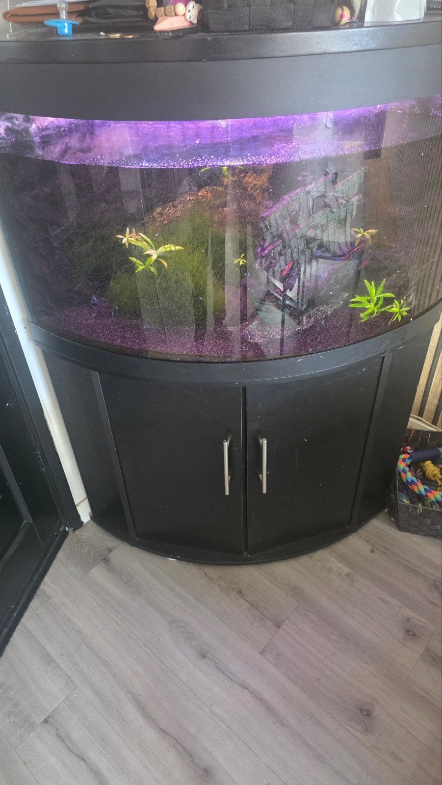 hoek aquarium, Dieren en Toebehoren, Ophalen of Verzenden, Gebruikt, Leeg aquarium