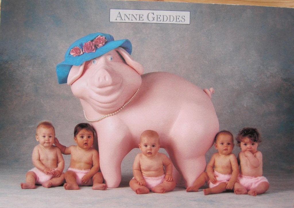 Anne Geddes - Mother pig - A259 - 1999 - nieuw, Verzenden, 1980 tot heden, Ongelopen, Kinderen