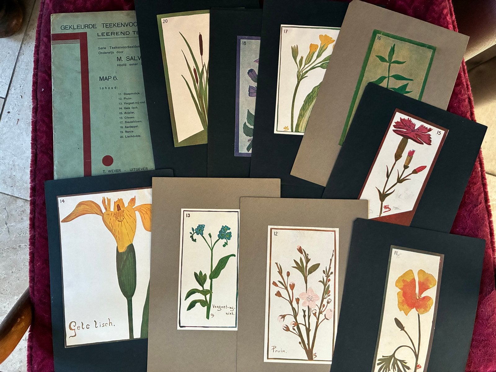 Antieke map met tekenvoorbeelden, Ophalen of Verzenden, Natuur en Biologie