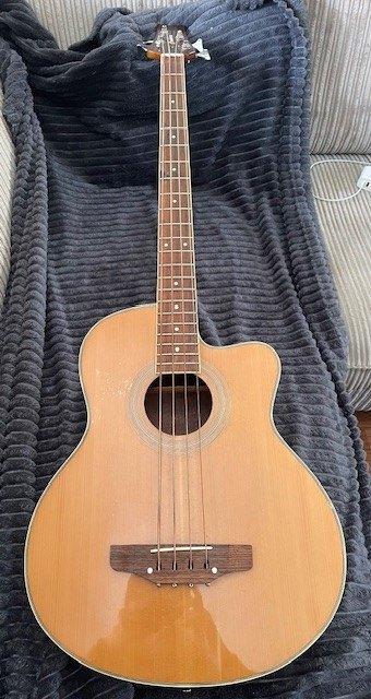 Pasadena semi-ackoestiche basgitaar, Muziek en Instrumenten, Snaarinstrumenten | Gitaren | Bas, Ophalen, Gebruikt, Semi-akoestisch